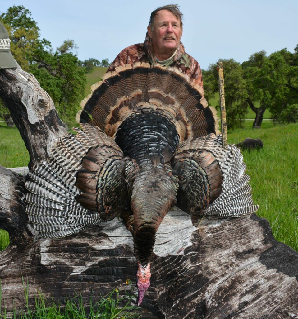 Mastering Late Season Turkey Hunting: Essential Tips and Techniques